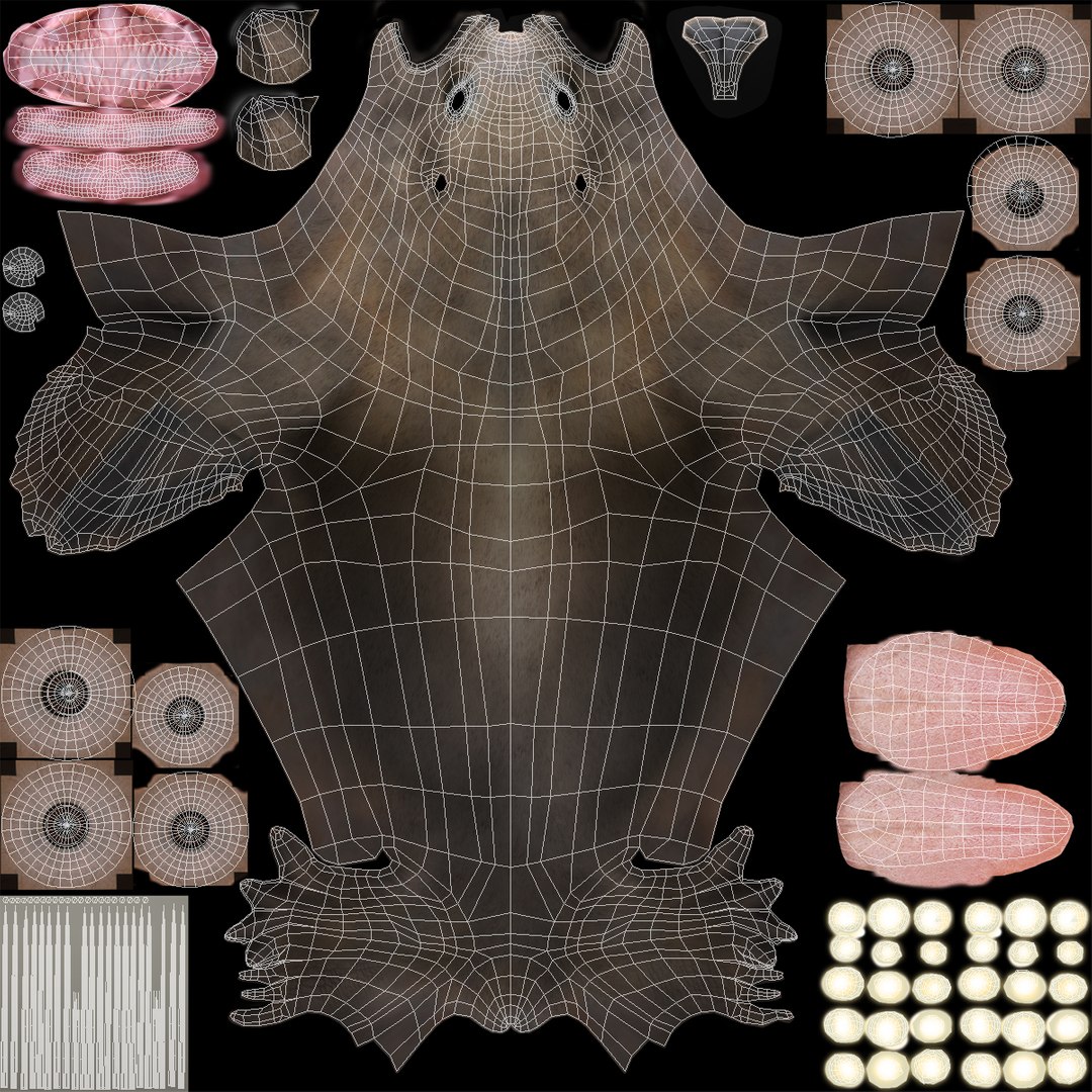 3d sea lion rigged https://p.turbosquid.com/ts-thumb/jX/8lgSFi/XlnW2bNs/sealionrigged3dmodel23/jpg/1443884555/1920x1080/fit_q87/9e19df3fe461dbdb63f9932ddab16815bd5984fa/sealionrigged3dmodel23.jpg