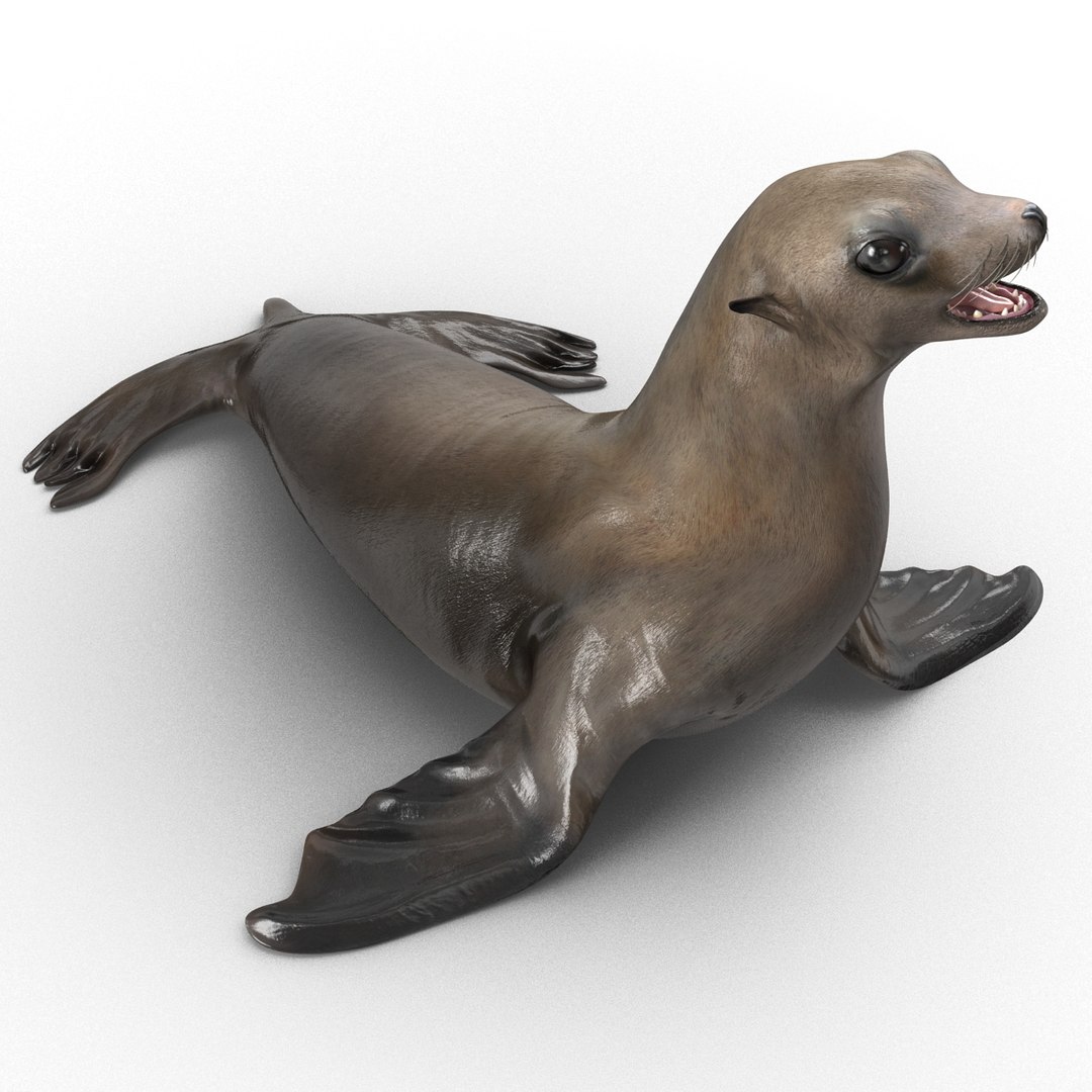 3d sea lion rigged https://p.turbosquid.com/ts-thumb/jX/8lgSFi/YHnJF6vx/sealionrigged3dmodel04/jpg/1443884554/1920x1080/fit_q87/c0f54f9863e0a334549758a8fa9055f5ebf0ab66/sealionrigged3dmodel04.jpg