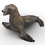Sea Lion Rigged
