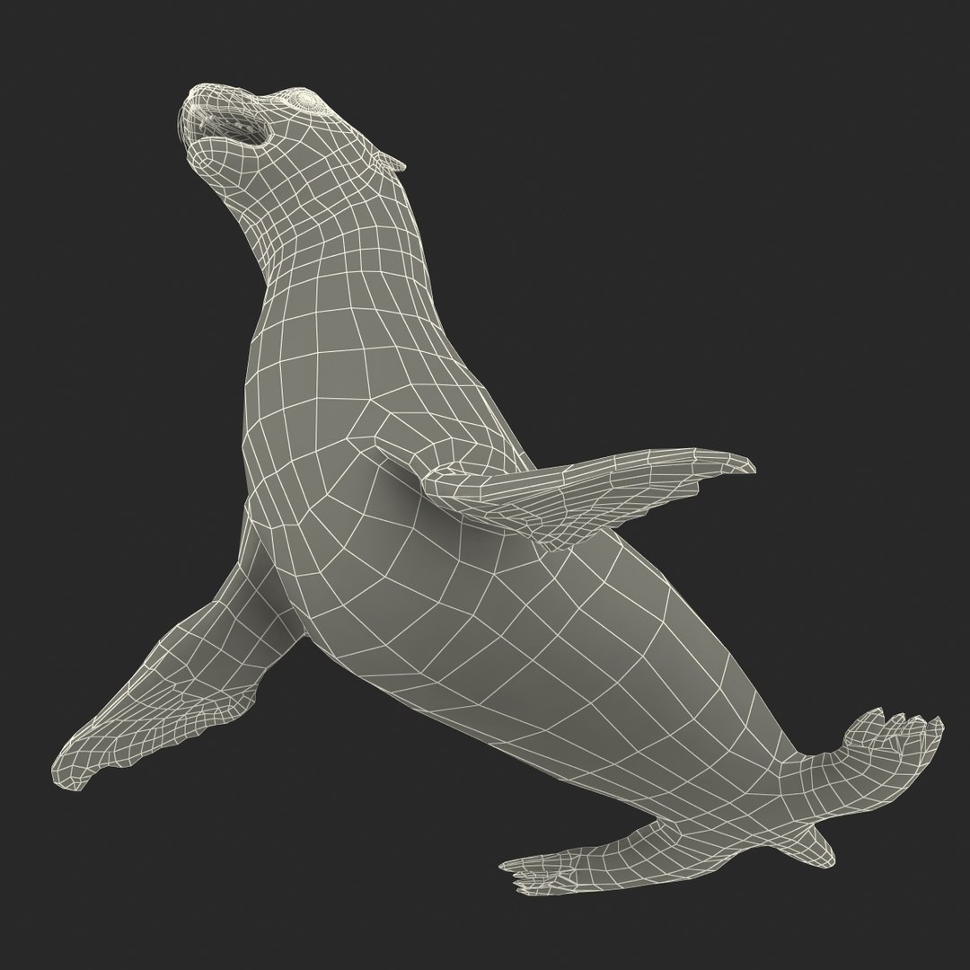 3d sea lion rigged https://p.turbosquid.com/ts-thumb/jX/8lgSFi/dFoBOkCS/sealionrigged3dmodel35/jpg/1443884555/1920x1080/fit_q87/0bc69b50709c09ca7581c6422df1d7c80a60b9bc/sealionrigged3dmodel35.jpg