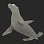 Sea Lion Rigged