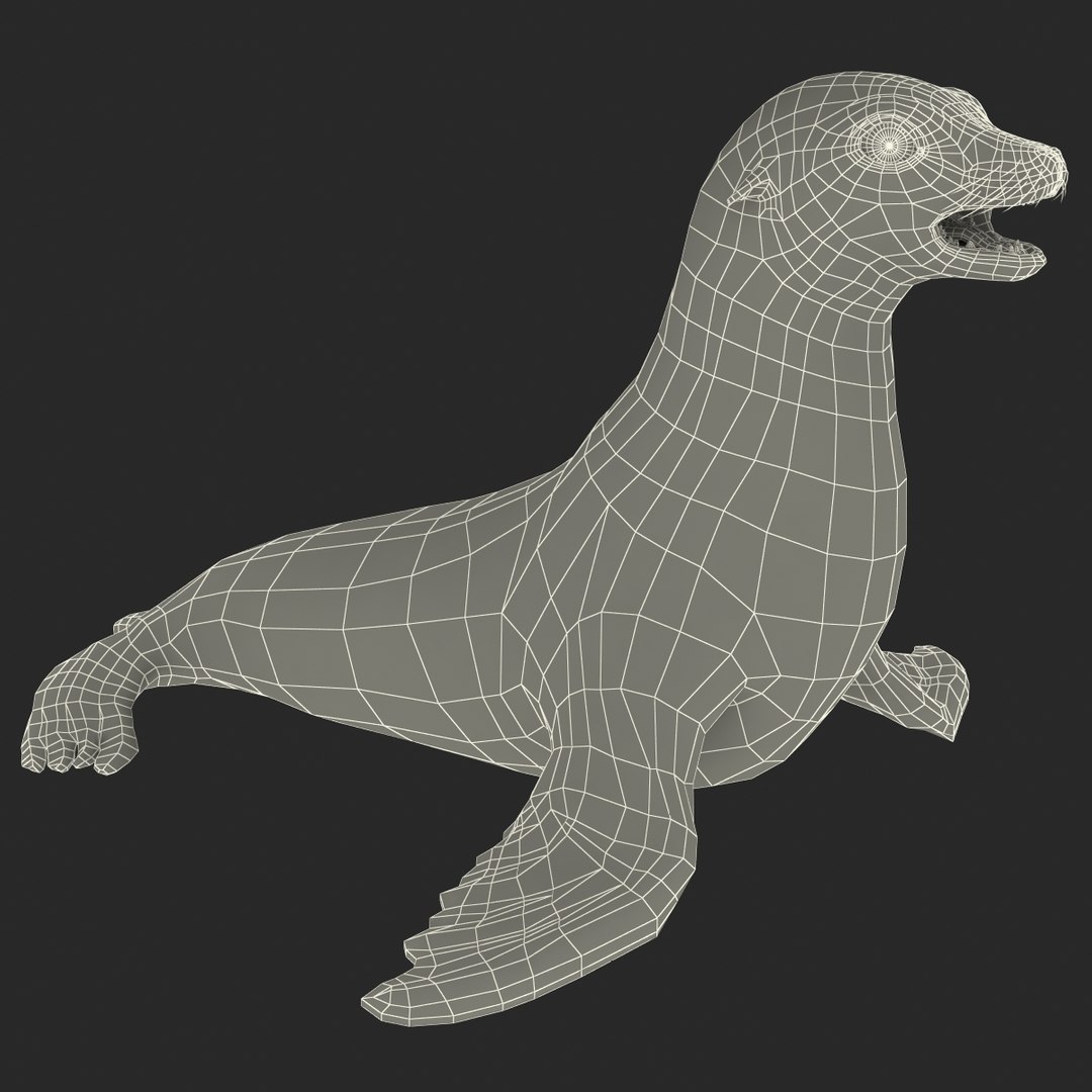 3d sea lion rigged https://p.turbosquid.com/ts-thumb/jX/8lgSFi/f81YW6IY/sealionrigged3dmodel26/jpg/1443884555/1920x1080/fit_q87/00bebbbf21bb486b0611f6a813058404e6bb4eaa/sealionrigged3dmodel26.jpg
