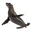 Sea Lion Rigged