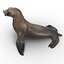 Sea Lion Rigged