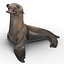 Sea Lion Rigged