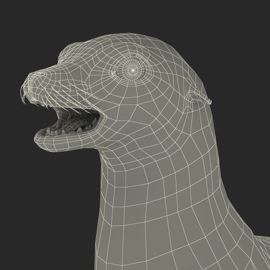 3d sea lion rigged https://p.turbosquid.com/ts-thumb/jX/8lgSFi/qQHdbqwK/sealionrigged3dmodel37/jpg/1443884555/1920x1080/fit_q87/d0e552e0b9cfdcb015acbafac3d81ba12755b682/sealionrigged3dmodel37.jpg