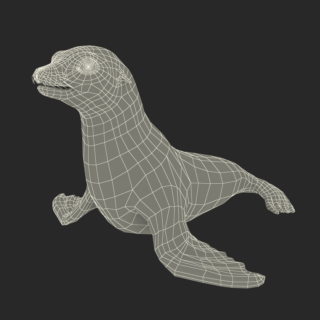 3d sea lion rigged https://p.turbosquid.com/ts-thumb/jX/8lgSFi/tFbpoKRB/sea_lion_363/jpg/1443885816/1920x1080/turn_fit_q99/eb2891f3c288a5b109e9f687f4f7579379ffddaf/sea_lion_363-1.jpg