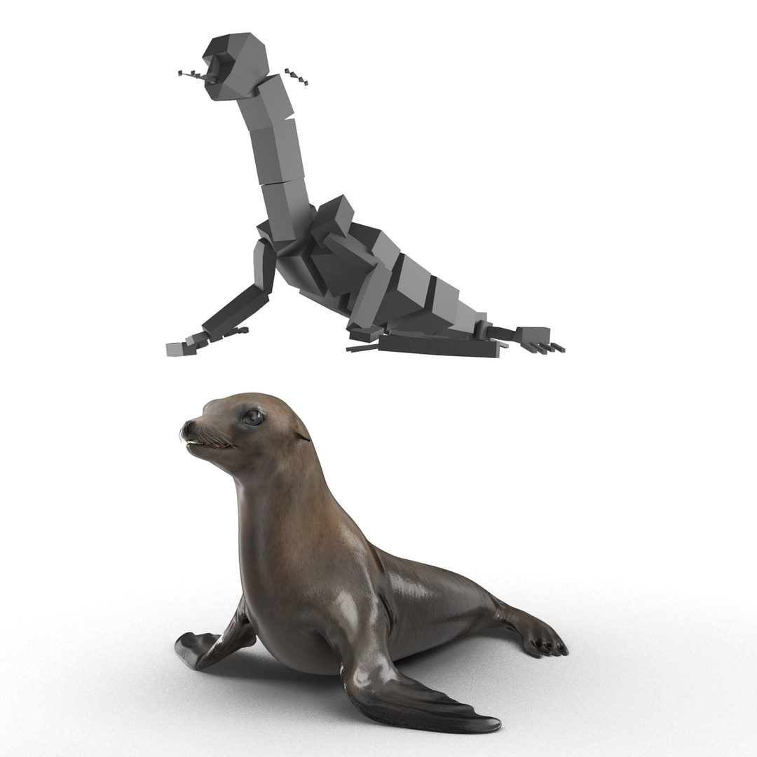 3d sea lion rigged https://p.turbosquid.com/ts-thumb/jX/8lgSFi/tPJeQCJT/sea_lion_364/jpg/1443886140/1920x1080/turn_fit_q99/9fd25cd22d89ae0145c8c8727de0ea379a201e9e/sea_lion_364-1.jpg