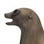 Sea Lion Rigged