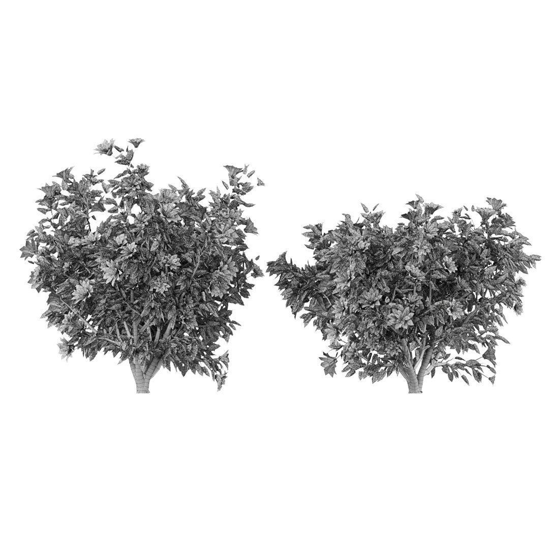 Collection Flowering Bush Vol 8 Model - TurboSquid 1947034