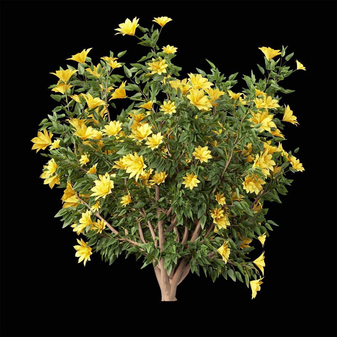 Collection Flowering Bush Vol 8 Model - TurboSquid 1947034