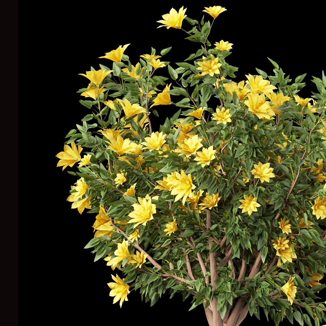 Collection Flowering Bush Vol 8 Model - TurboSquid 1947034