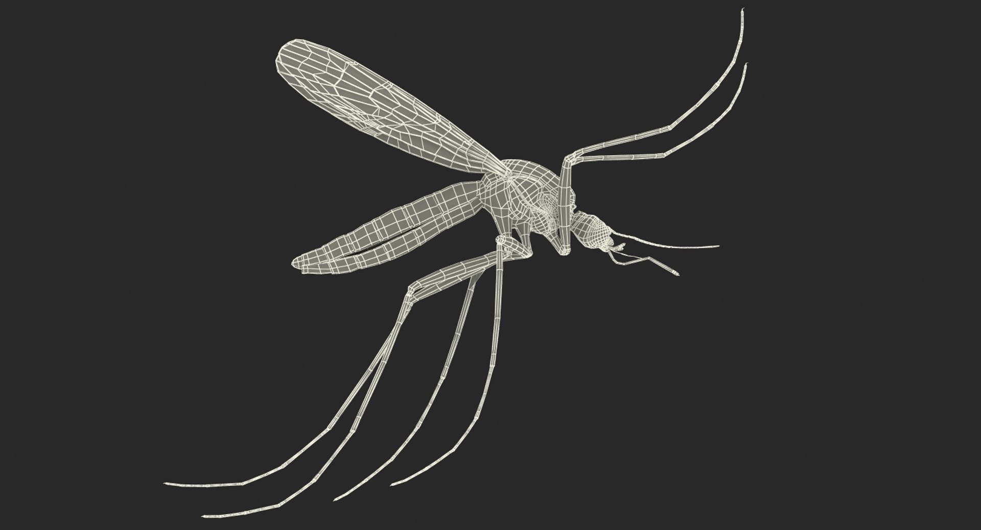 flying insects 2 model https://p.turbosquid.com/ts-thumb/jX/DdiDKJ/03RydYyc/flyinginsectscollection2vray3dmodel055/jpg/1591042188/1920x1080/fit_q87/2e0eb99ee17367a786eab1bf1a9b174b09af1e9c/flyinginsectscollection2vray3dmodel055.jpg