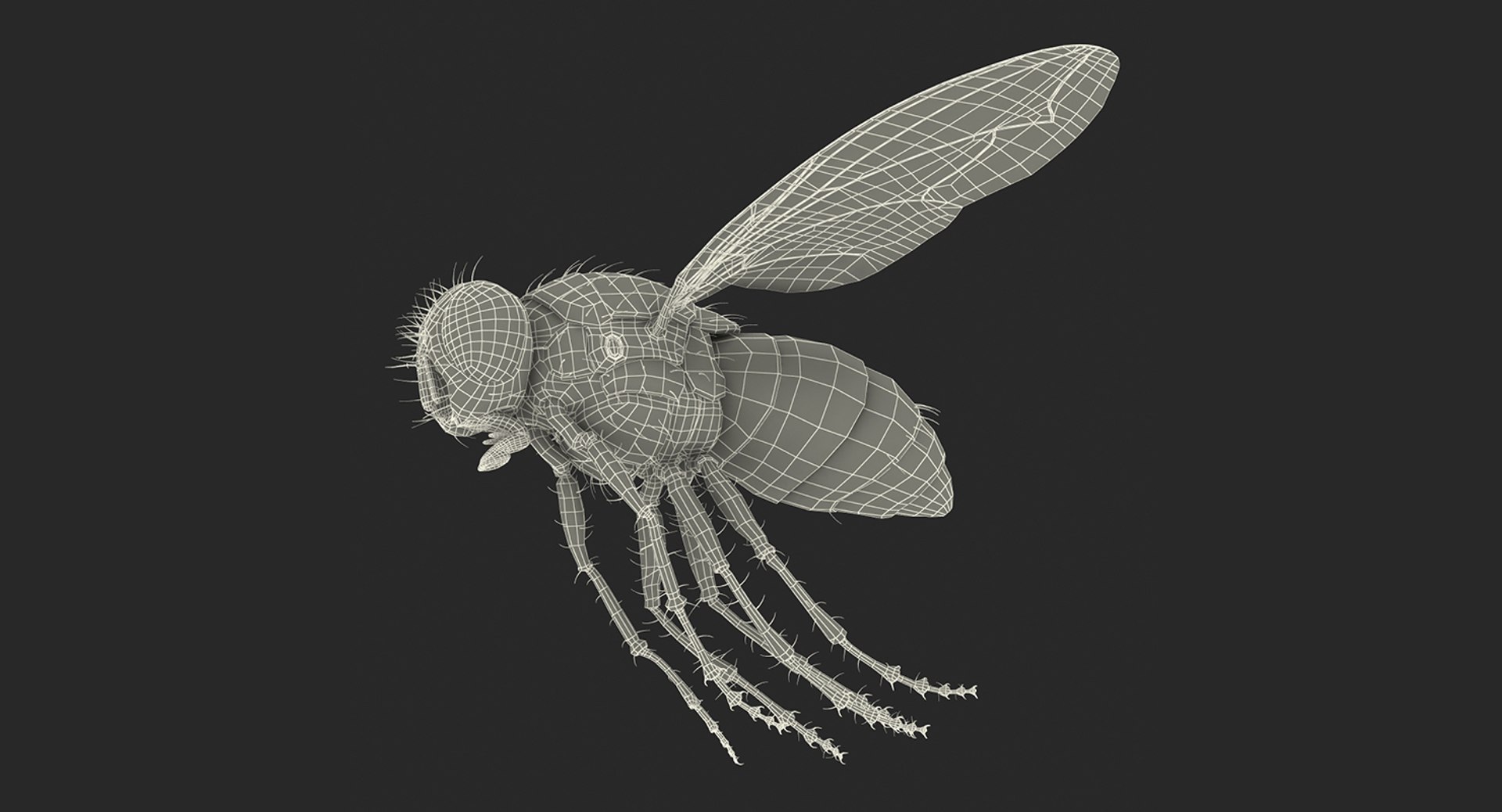 flying insects 2 model https://p.turbosquid.com/ts-thumb/jX/DdiDKJ/3Mky3RbC/flyinginsectscollection2vray3dmodel056/jpg/1591042197/1920x1080/fit_q87/8bd1d9881aa0583b686b2a5cb0bd02ae58f2521c/flyinginsectscollection2vray3dmodel056.jpg