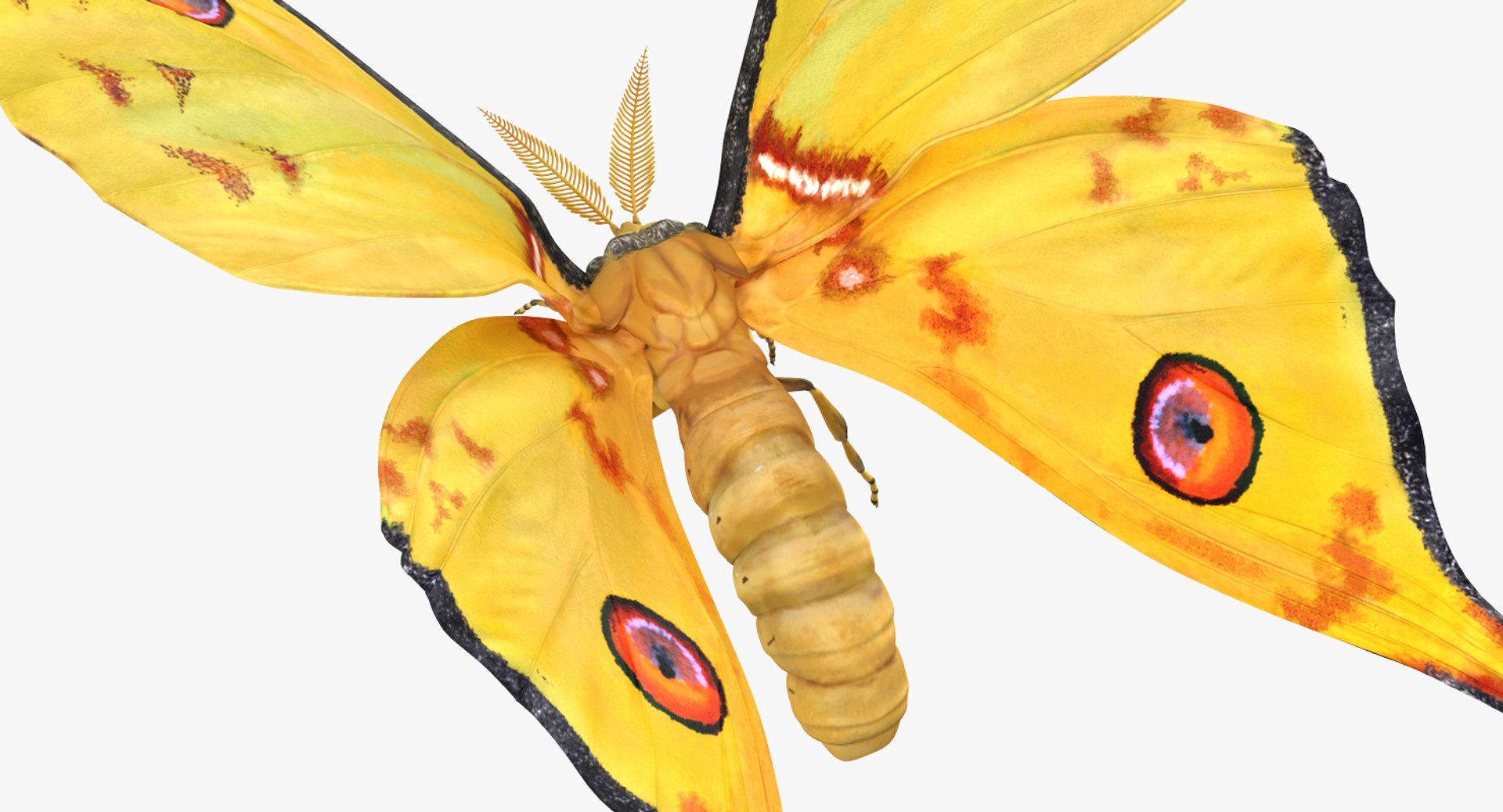 flying insects 2 model https://p.turbosquid.com/ts-thumb/jX/DdiDKJ/7XSyzmYx/flyinginsectscollection2vray3dmodel035/jpg/1591042005/1920x1080/fit_q87/77b3b9ebe0b4dba8f995f98b8d9b8ddca41c83d4/flyinginsectscollection2vray3dmodel035.jpg