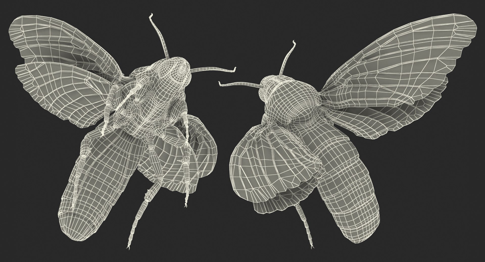 flying insects 2 model https://p.turbosquid.com/ts-thumb/jX/DdiDKJ/Et8edd01/flyinginsectscollection2vray3dmodel053/jpg/1591042172/1920x1080/fit_q87/b8c4ade9ddd886ea67785a6402fd0f5361bb5c16/flyinginsectscollection2vray3dmodel053.jpg