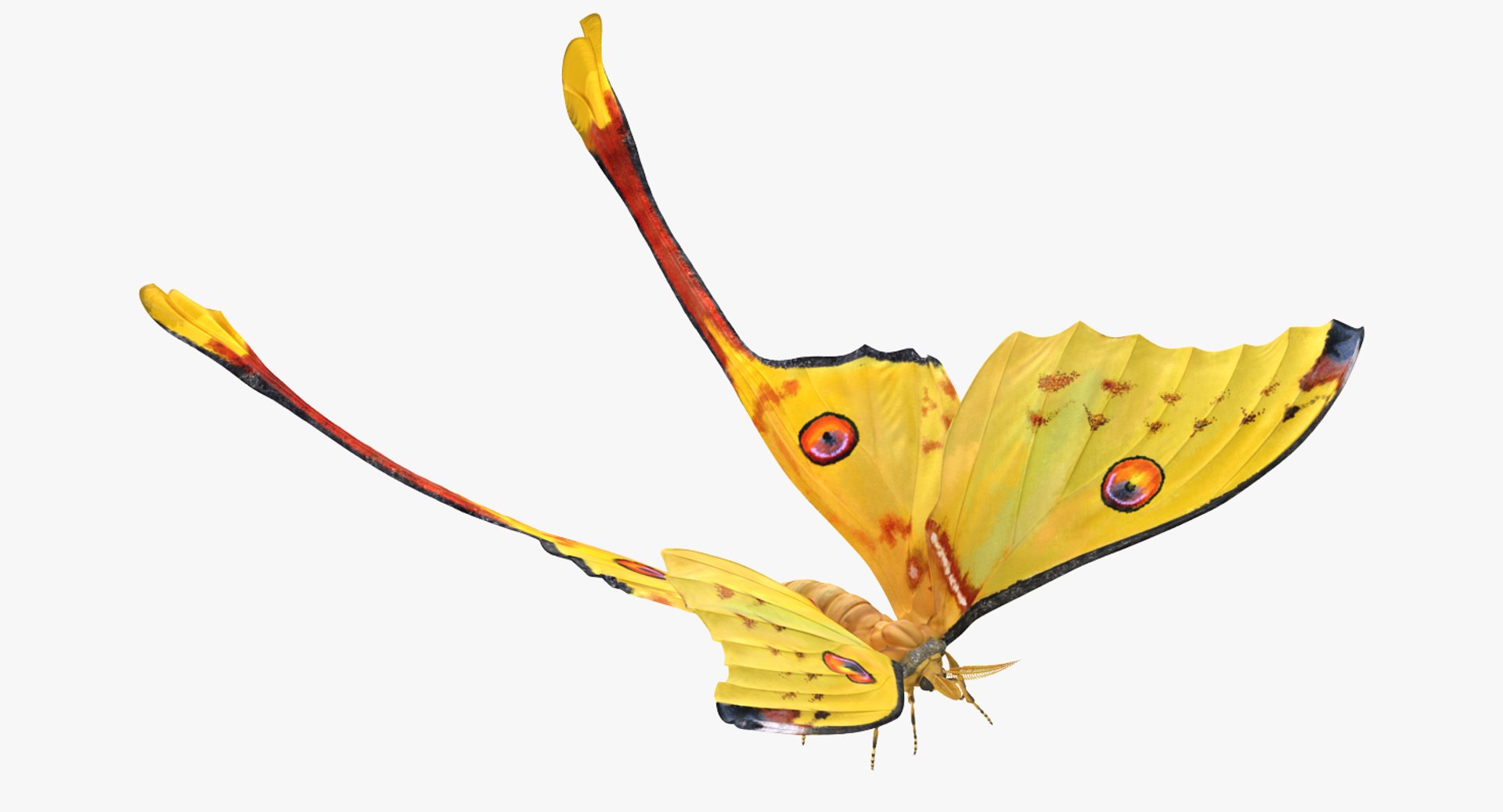 flying insects 2 model https://p.turbosquid.com/ts-thumb/jX/DdiDKJ/JMQgQu4v/flyinginsectscollection2vray3dmodel033/jpg/1591041987/1920x1080/fit_q87/e9f8ea952621e2ace0cce4da002ab9a8be6107c1/flyinginsectscollection2vray3dmodel033.jpg