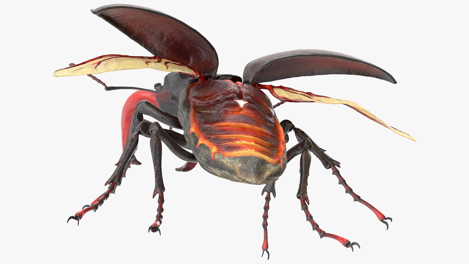 flying insects 2 model https://p.turbosquid.com/ts-thumb/jX/DdiDKJ/VrTGHROI/flyinginsectscollection2vray3dmodel009/jpg/1591041762/1920x1080/fit_q87/53b808ad3b783d49a33183292576aa1372955333/flyinginsectscollection2vray3dmodel009.jpg