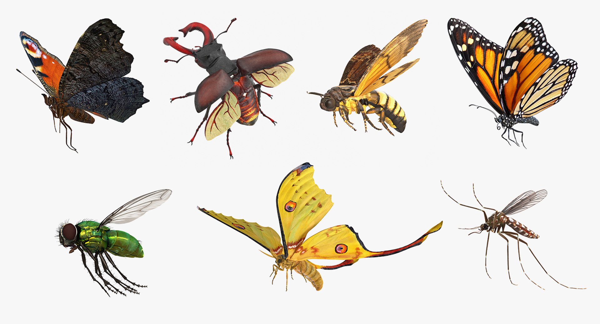 flying insects 2 model https://p.turbosquid.com/ts-thumb/jX/DdiDKJ/lJbTPxqR/flyinginsectscollection2vray3dmodel002/jpg/1591041699/1920x1080/fit_q87/4dcac75d90f4e22538b0be8b8d7a5bfd3d46f705/flyinginsectscollection2vray3dmodel002.jpg