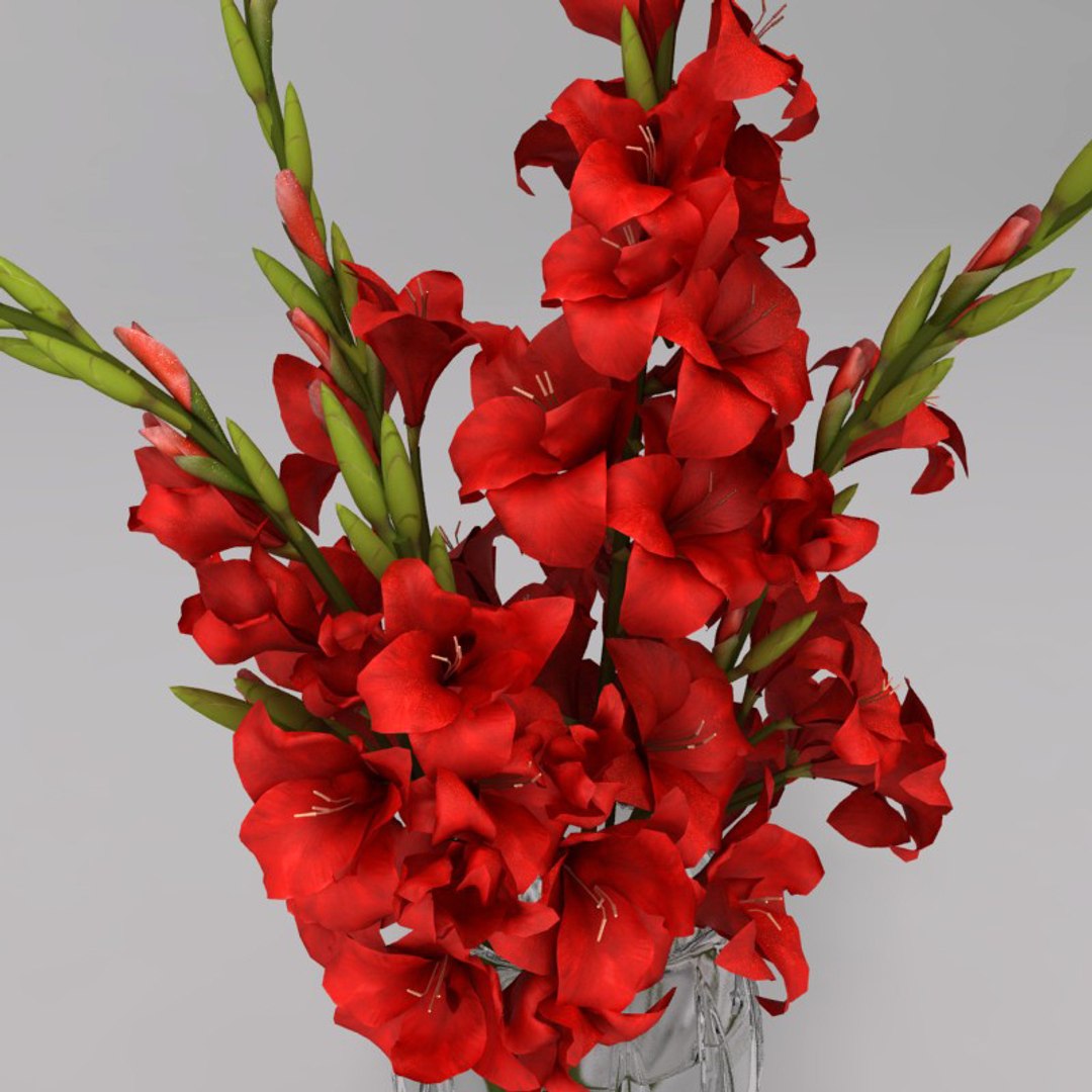 max flower arrangement design https://p.turbosquid.com/ts-thumb/jX/G6iEno/ae3I7GQY/gladiolusbouquet_02/jpg/1286149305/1920x1080/fit_q87/8f8148c4934331ed40c4e7309db1414e80b944b5/gladiolusbouquet_02.jpg