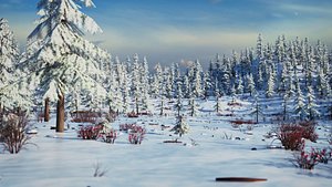 Winter Forest Environment
