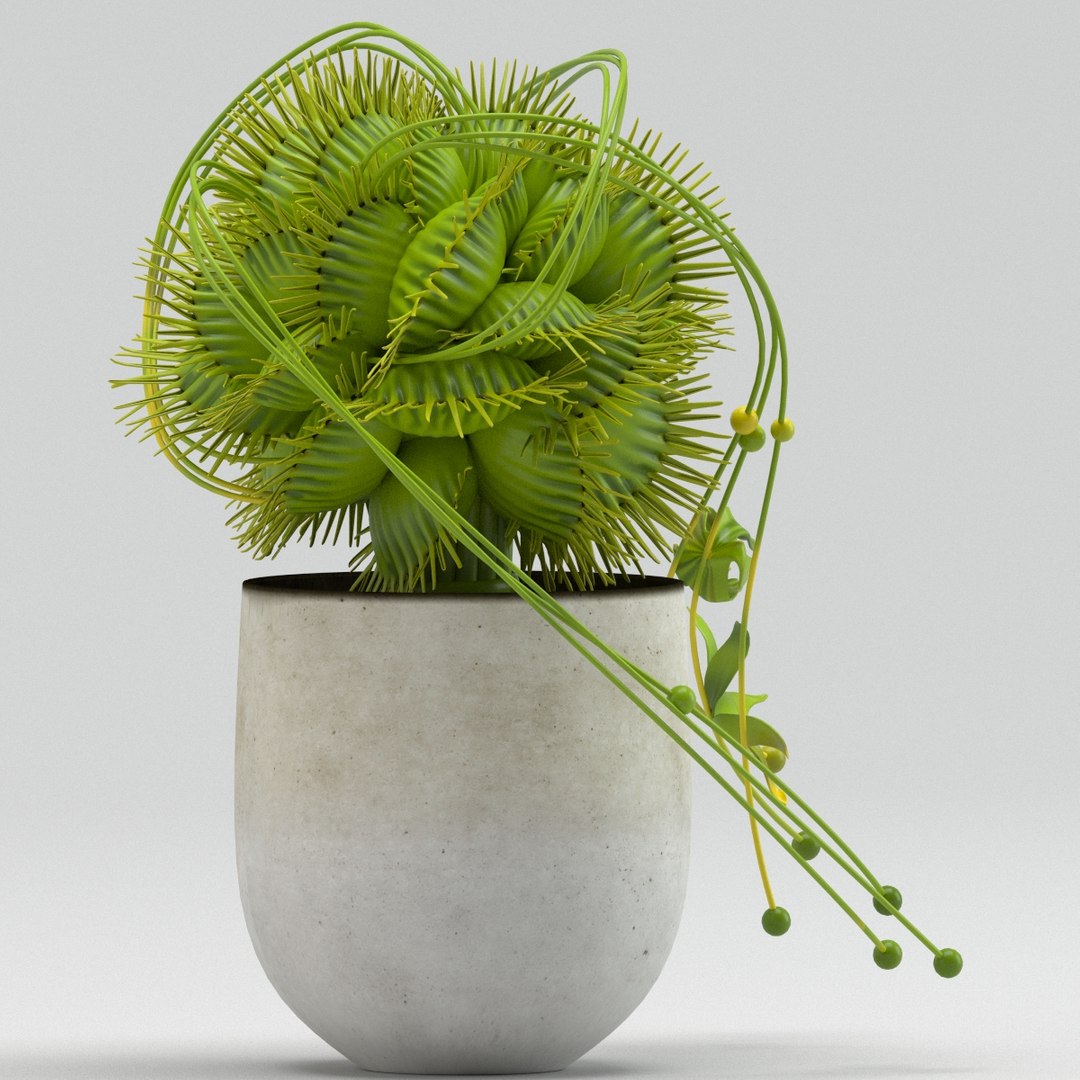 vase 29 flycatcher flower 3D model https://p.turbosquid.com/ts-thumb/jX/ReMyqr/Co3be9Fr/vase29flycatcherflowerdionaea7/jpg/1580491799/1920x1080/fit_q87/797ae30f40c7c6a754db9195b04a4808fd031ab3/vase29flycatcherflowerdionaea7.jpg