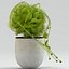 Vase 29 fleur moucherolle Dionaea
