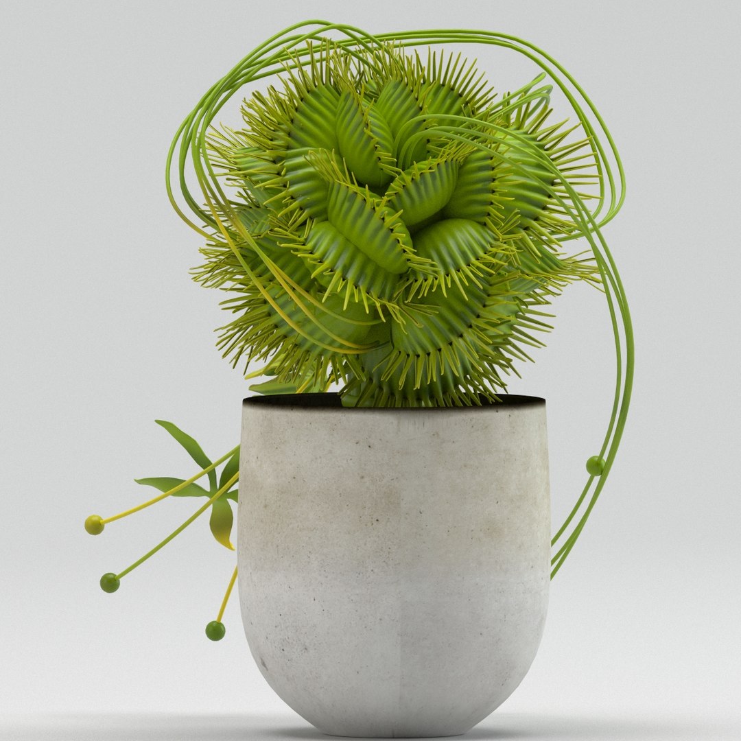vase 29 flycatcher flower 3D model https://p.turbosquid.com/ts-thumb/jX/ReMyqr/XGkbe4Hu/vase29flycatcherflowerdionaea6/jpg/1580491799/1920x1080/fit_q87/b5daa17cd5a8756d838e50257e6e8132d223dd41/vase29flycatcherflowerdionaea6.jpg