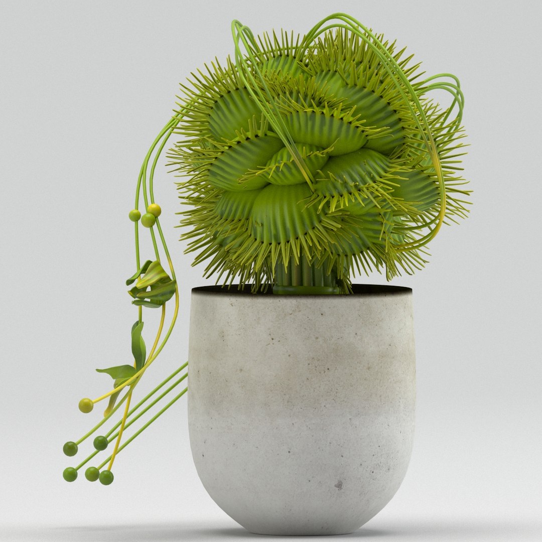 vase 29 flycatcher flower 3D model https://p.turbosquid.com/ts-thumb/jX/ReMyqr/ql05yxAa/vase29flycatcherflowerdionaea4/jpg/1580491799/1920x1080/fit_q87/7b1827b48b138e2de25a71dc7e877d996c427a4e/vase29flycatcherflowerdionaea4.jpg