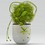Vase 29 fleur moucherolle Dionaea