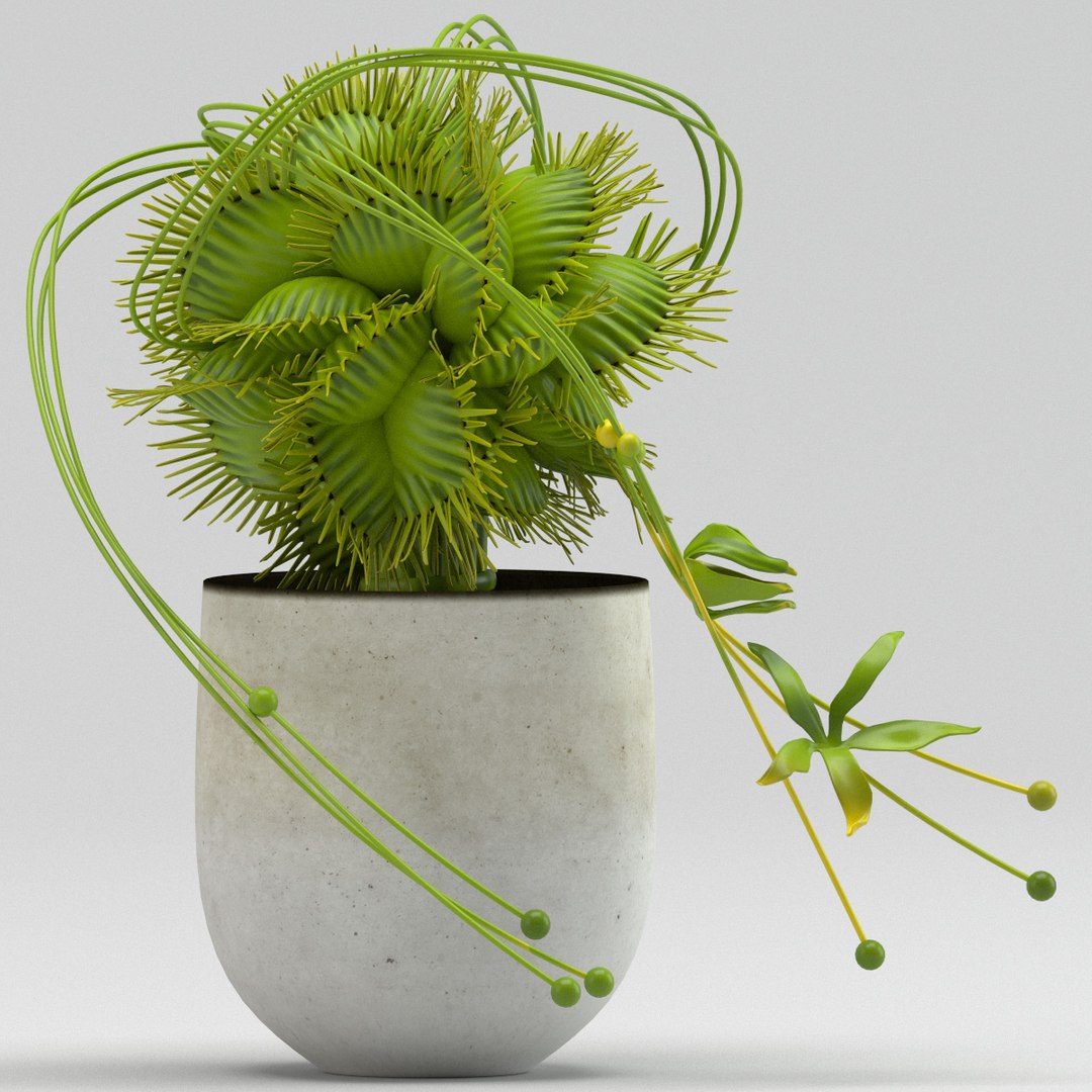 vase 29 flycatcher flower 3D model https://p.turbosquid.com/ts-thumb/jX/ReMyqr/yy9K6UI3/vase29flycatcherflowerdionaea1/jpg/1580491799/1920x1080/fit_q87/2abb45c64bef7db906b6bd849d1bb1d60795c943/vase29flycatcherflowerdionaea1.jpg