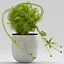 Vase 29 fleur moucherolle Dionaea