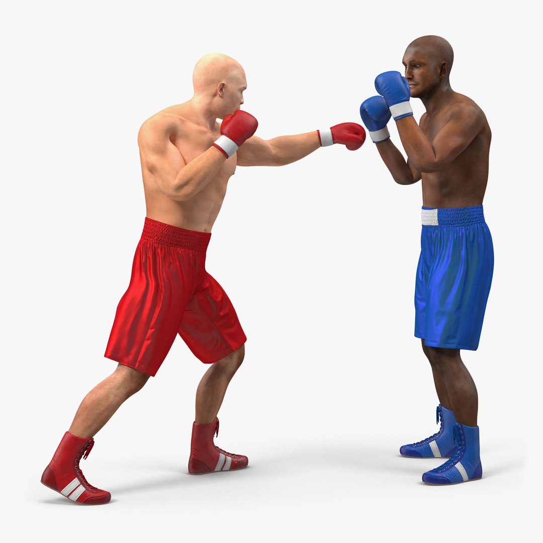 Two Boxers Fighting 2 3D model preview
