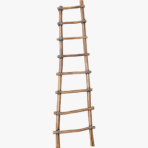3D Wood Ladder