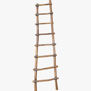 Wood Ladder