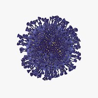 Corona Virus 1