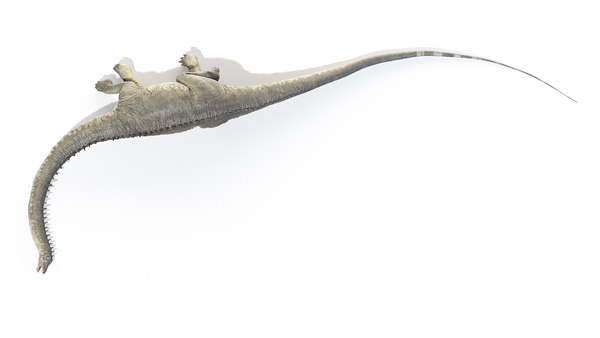 modelo 3d Diplodocus Animado - TurboSquid 1659829
