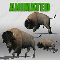 Buffalo