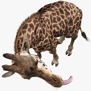 realistic giraffe rigged fur 3D
