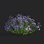 Symphyotrichum georgianum flower