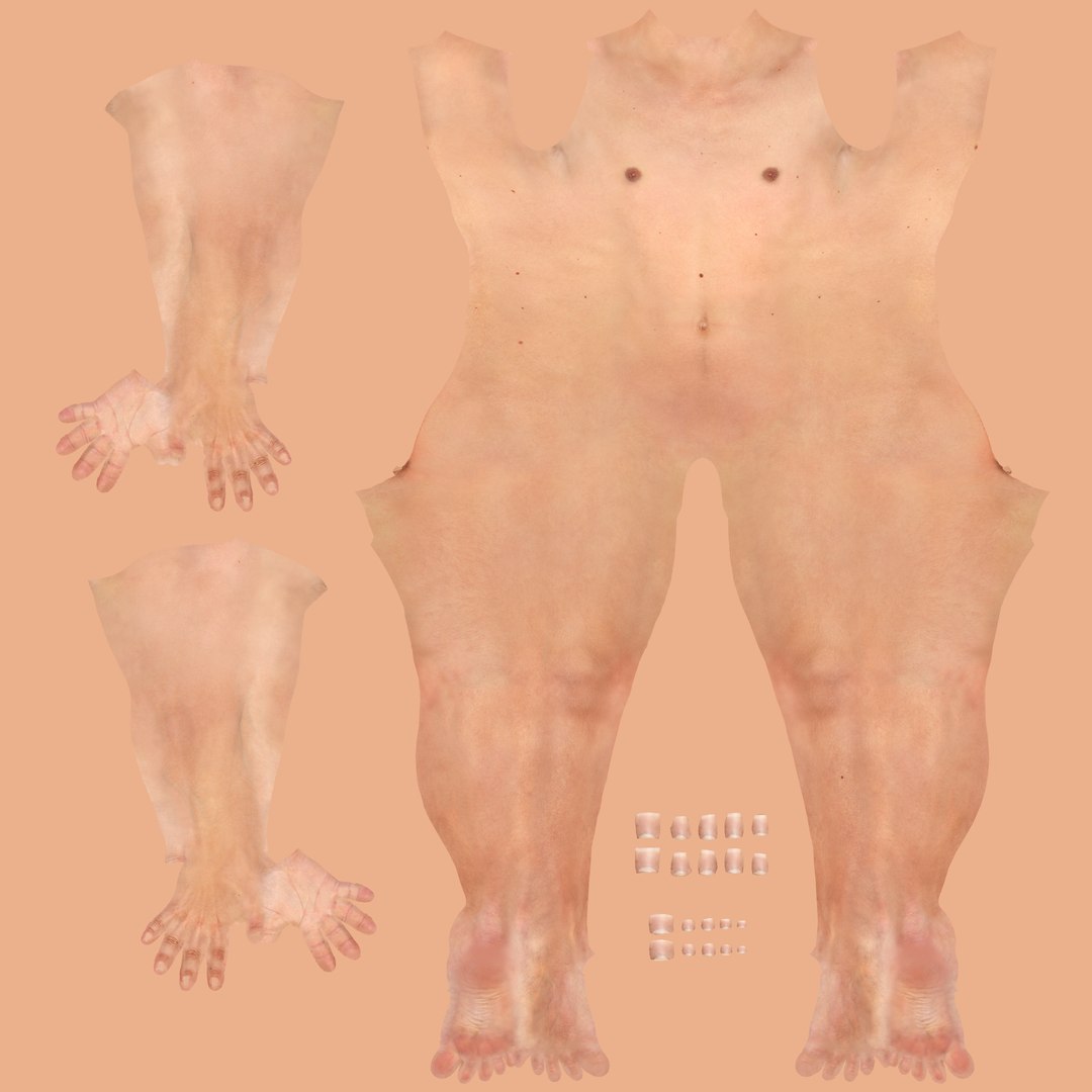 human man 3D model https://p.turbosquid.com/ts-thumb/jY/7k0mKl/zT40wVi2/rexbodyng/png/1540667493/1920x1080/fit_q87/b87f8d5148dd85d43182d31743f004dcebca0029/rexbodyng.jpg
