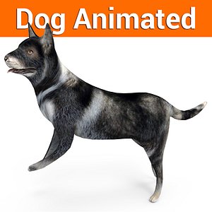 german shepherd dog rigged 3D model