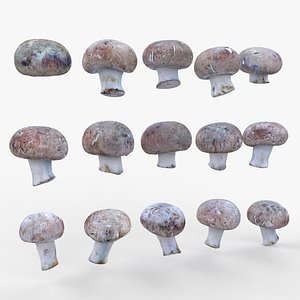 Mushroom Scan Pack model