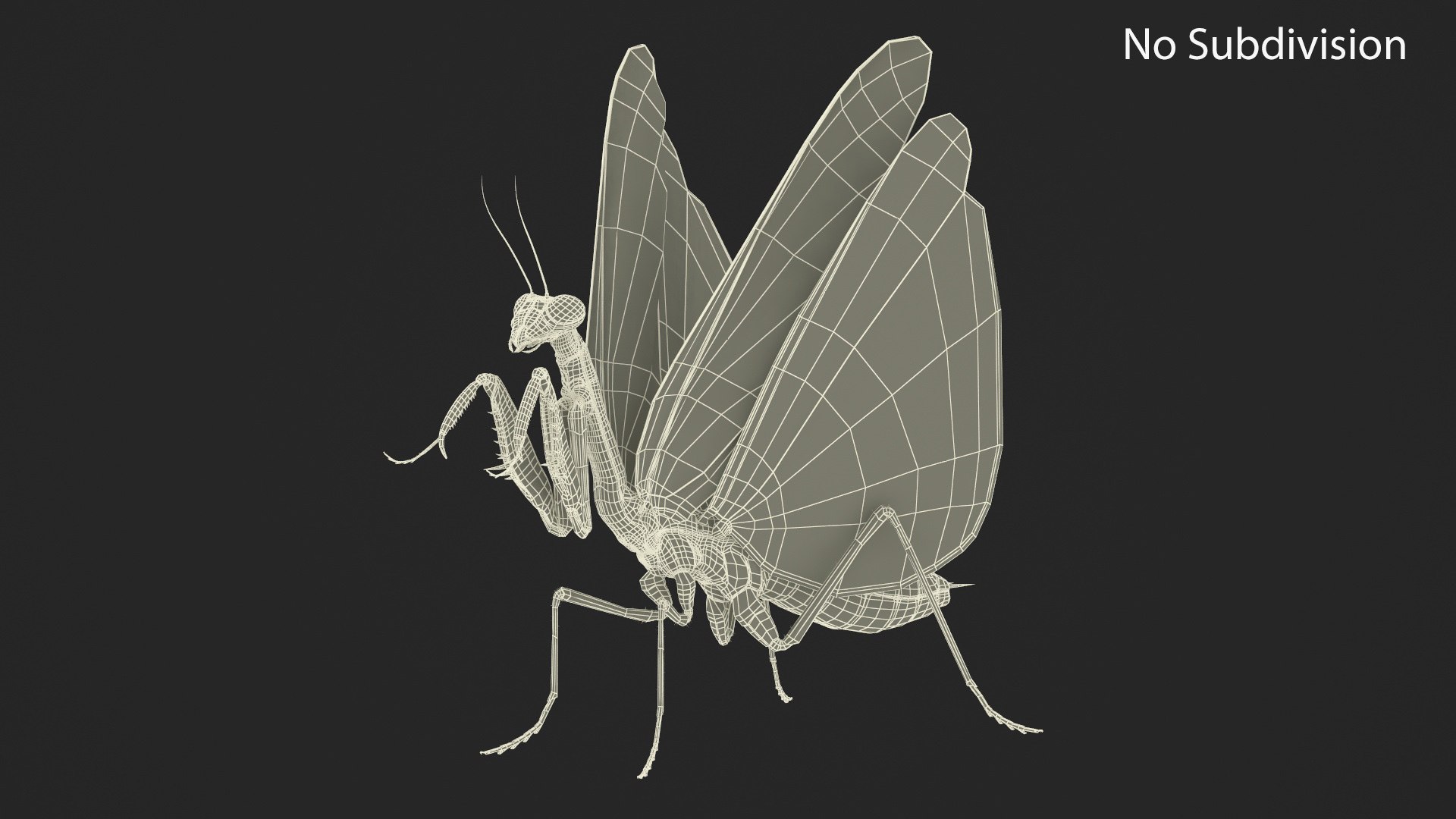 Praying Mantis Insect Fur For Maya 3D Model - TurboSquid 2349292