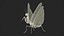 Praying Mantis Insect Fur for Maya 3D model