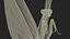 Praying Mantis Insect Fur for Maya 3D model