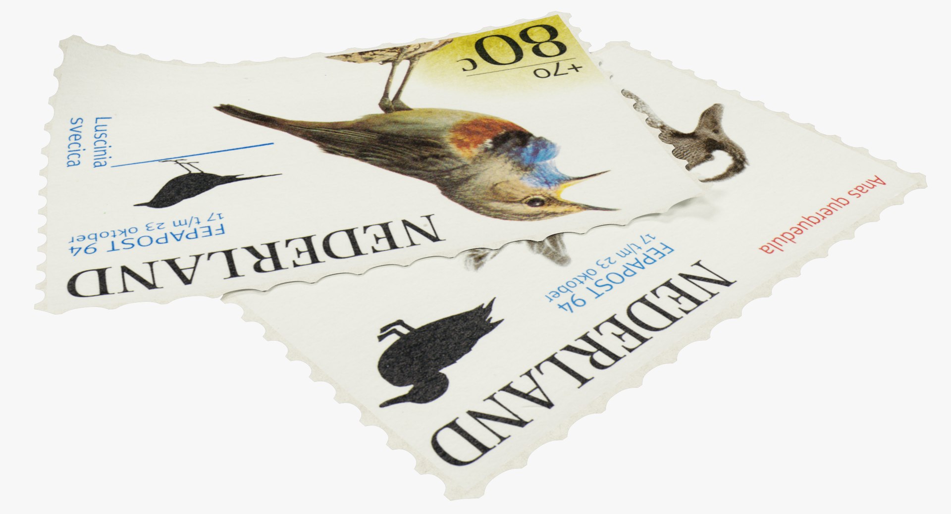 postage stamps v1 3D https://p.turbosquid.com/ts-thumb/jY/JCvmNT/Dg0JfywZ/004_003copy/png/1562595851/1920x1080/fit_q87/7609c0d7e699165c6045246fed92962940755b9c/004_003copy.jpg