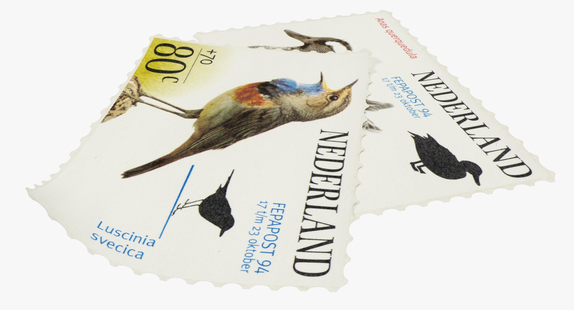 postage stamps v1 3D https://p.turbosquid.com/ts-thumb/jY/JCvmNT/y2jy9Bu6/004_002copy/png/1562595851/1920x1080/fit_q87/ffa331277c2e930ce91e1600a247a8ee3f4f5c69/004_002copy.jpg
