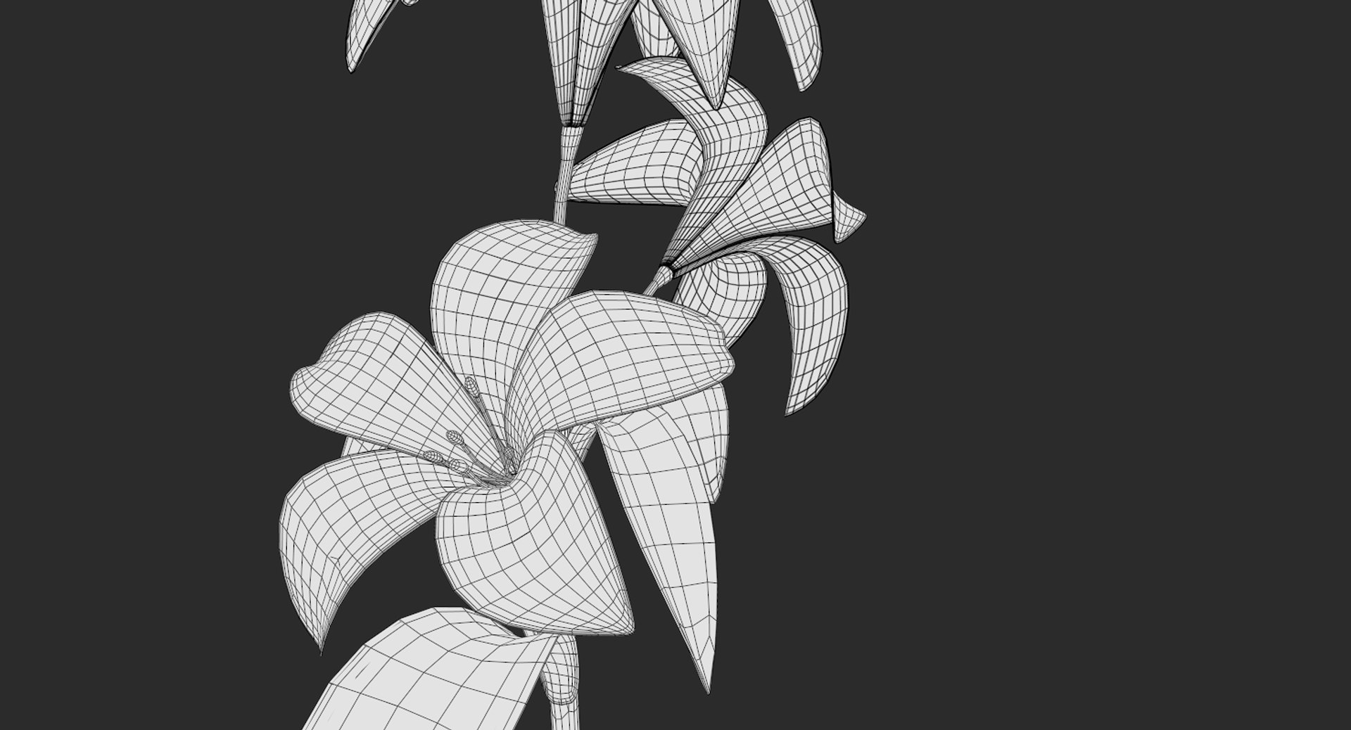 3D lily white https://p.turbosquid.com/ts-thumb/jY/JQc24i/JMQcp57W/screenshot013/png/1554403854/1920x1080/fit_q87/a72640183e8c10e17b7e9447764f674a06ef28f4/screenshot013.jpg