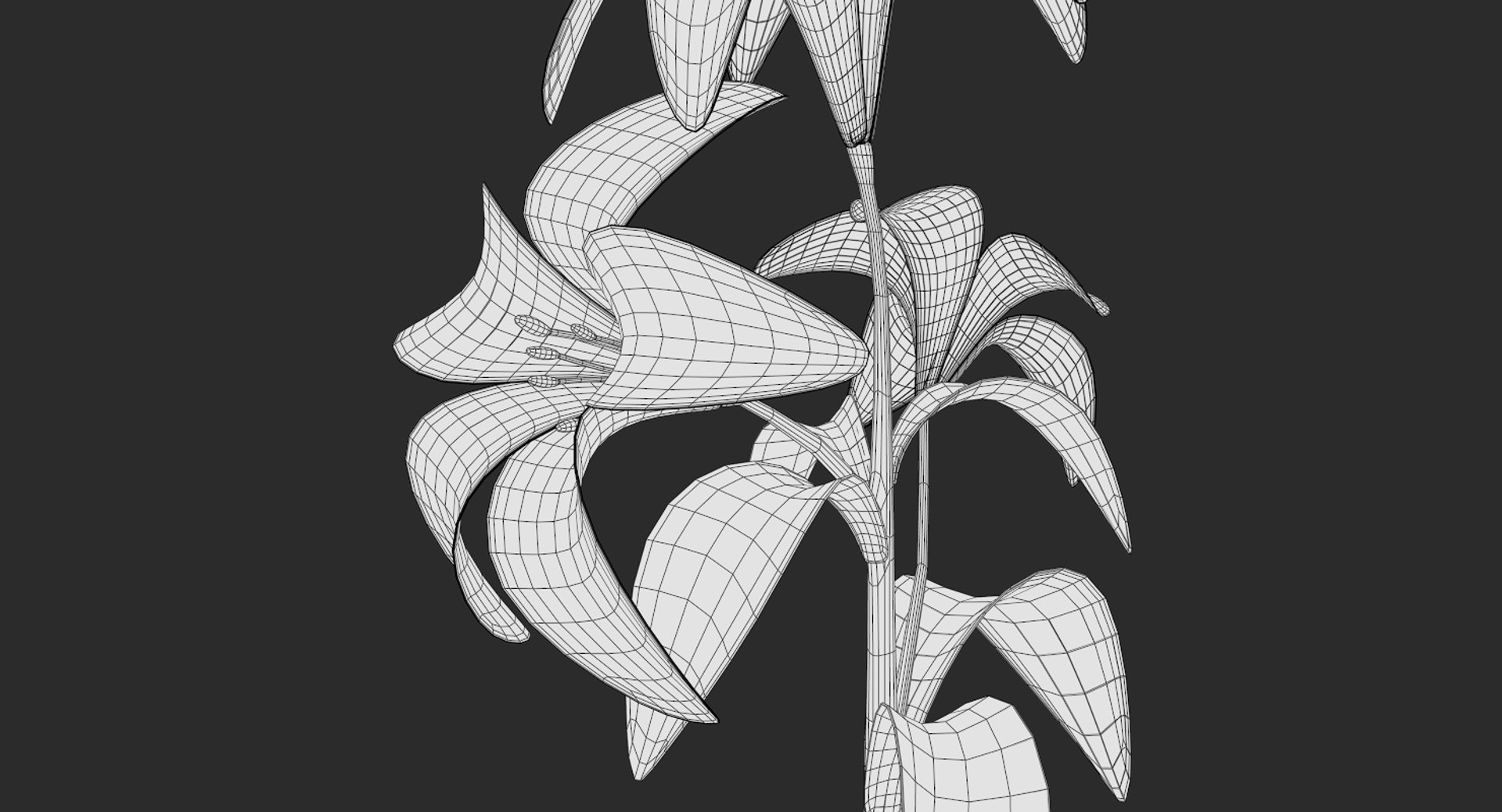 3D lily white https://p.turbosquid.com/ts-thumb/jY/JQc24i/f7ppLm6w/screenshot012/png/1554403854/1920x1080/fit_q87/6eb692f2e28263351d00e9e4171cac505e232043/screenshot012.jpg